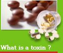 What is a toxin
